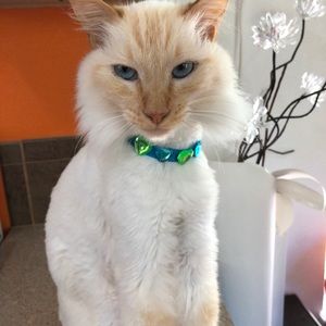 Meet your Posher, Fran